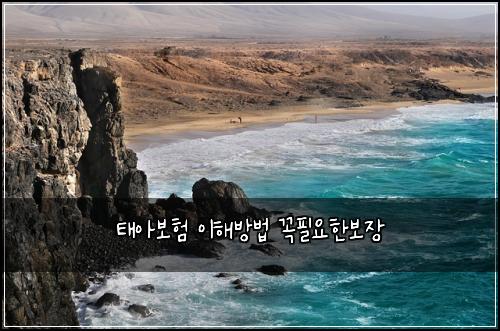 νμ보ν μ΄ν΄λ°©λ² κΌνμν보μ₯