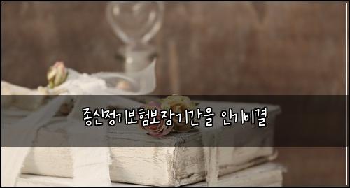종신정기보험보장기간을 인기비결