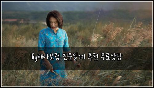 ligํ์๋ณดํ ์ ๋ฌธ์ค๊ณ ์ถ์ฒ ๋ฌด๋ฃ์๋ด