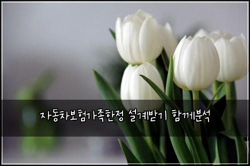 자동차보험가족한정 설계받기 함께분석