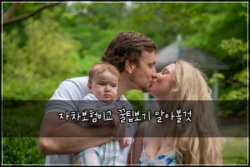 자차보험비교 꿀팁보기 알아볼것