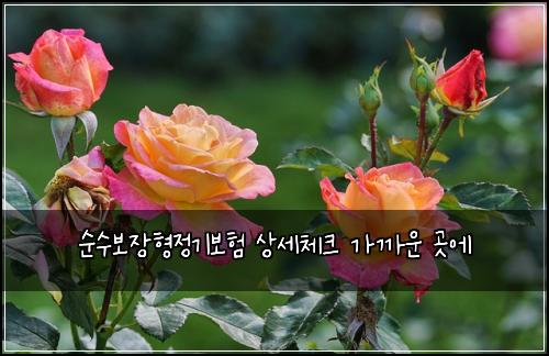 ์์๋ณด์ฅํ์ ๊ธฐ๋ณดํ ์์ธ์ฒดํฌ ๊ฐ๊น์ด ๊ณณ์