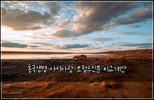 흥국생명 아이사랑 보험드신분 비교계산