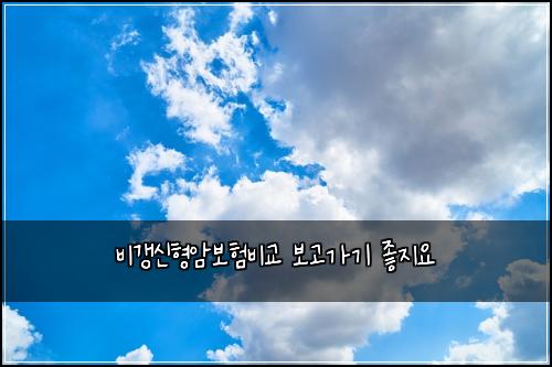 비갱신형암보험비교 보고가기 좋지요