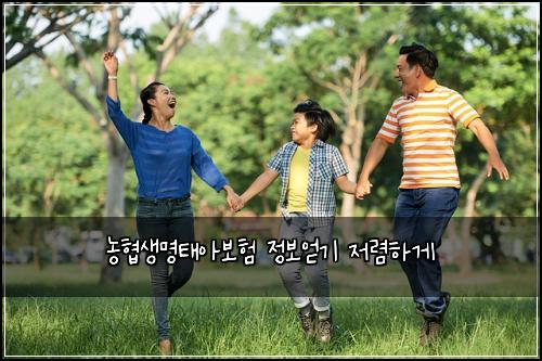 농협생명태아보험 정보얻기  저렴하게