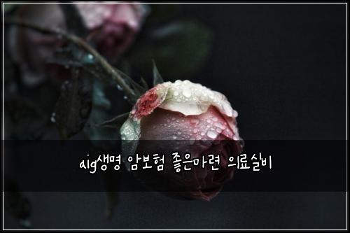aig์๋ช
์๋ณดํ ์ข์๋ง๋ จ ์๋ฃ์ค๋น