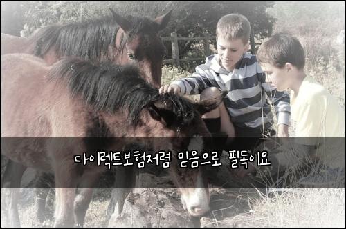 다이렉트보험저렴 믿음으로 필독이요