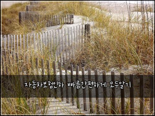 ์๋์ฐจ๋ณดํ์ธํ ๋น ๋ฆ๊ฐํธํ๊ฒ ๋ชจ๋์๊ธฐ