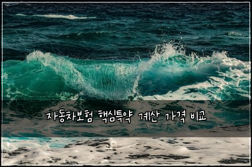 자동차보험 핵심특약  계산 가격 비교