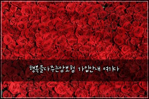 행복을다주는암보험 가입안내  여기다