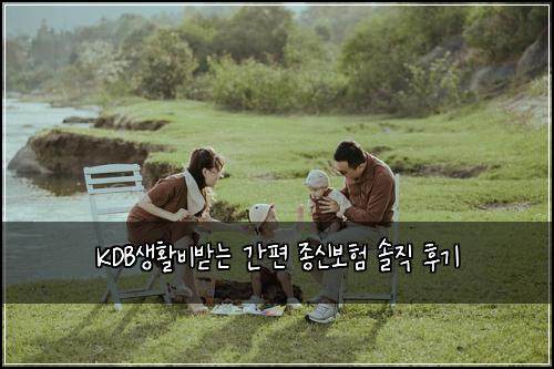 KDB생활비받는 간편 종신보험 솔직 후기