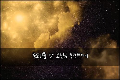 ์ค๋์ธ์ถ ์ ๋ณดํ๊ธ ํ๋ฒ๋ง์