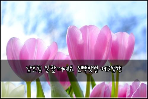암보험 알찰꺼예요  선택방법 제2범행