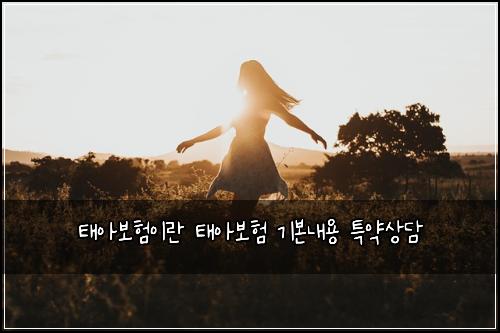ํ์๋ณดํ์ด๋ ํ์๋ณดํ ๊ธฐ๋ณธ๋ด์ฉ ํน์ฝ์๋ด
