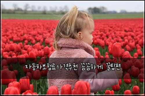 ์๋์ฐจ๋ณดํ๋ฃ๊ฐ๊ฒฉ์ถ์ฒ ๊ผผ๊ผผํ๊ฒ ๊ฟํํธ