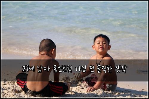 27세 남자 종신보험 가입 전 솔직한 생각