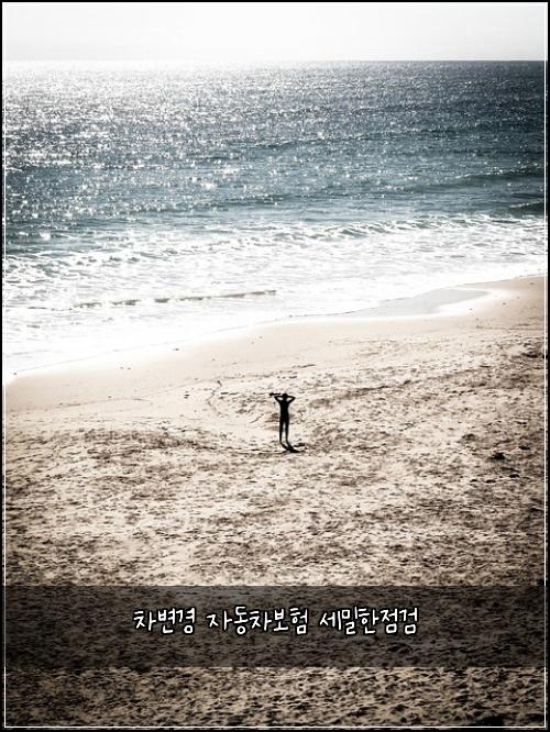 차변경 자동차보험 세밀한점검 