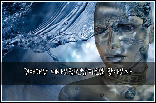 ํ๋ํด์ ํ์๋ณดํ5๋
๋ฉํ์ ๋ถ ์ฐพ์๋ณด์