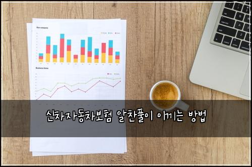 신차자동차보험 알찬풀이  이끼는 방법