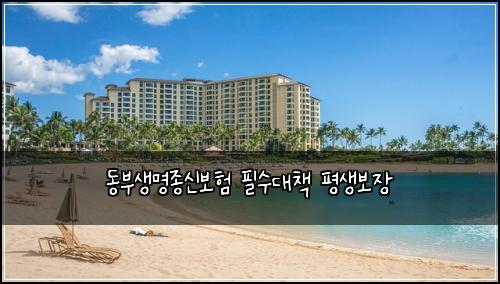 동부생명종신보험 필수대책  평생보장