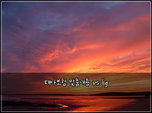태아보험 맞춤내용  vs lig
