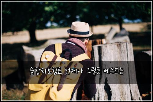 ์นํฉ์ฐจ๋ณดํ๋ฃ ์ธ์ ๋ ๊ทธ๋ ๋ฏ ๋ฒ ์คํธ๋