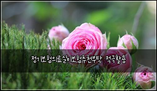 정기보험의료실비보험추천부탁 적극활용