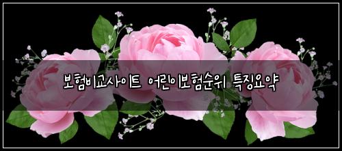 ๋ณดํ๋น๊ต์ฌ์ดํธ ์ด๋ฆฐ์ด๋ณดํ์์ ํน์ง์์ฝ