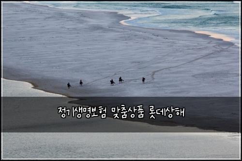 정기생명보험 맞춤상품  롯데상해