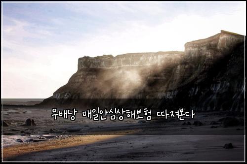 무배당 매일안심상해보험 따져본다 