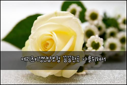 ๋ฉ๋ฆฌ์ธ ๋น๊ฐฑ์ ์๋ณดํ ๊ผผ๊ผผํ๊ณณ ๋๋ฅผ์ํด์