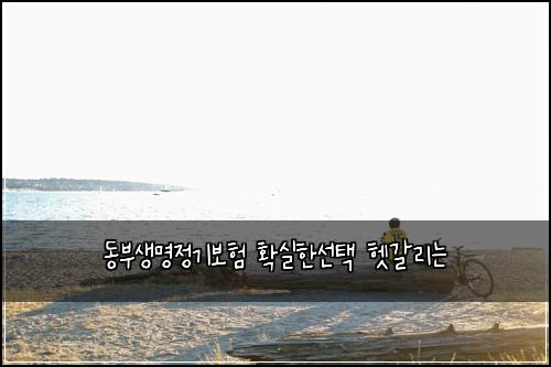 동부생명정기보험 확실한선택  헷갈리는