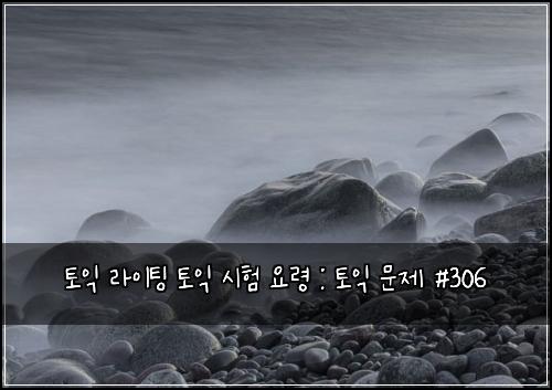 토익 라이팅 토익 시험 요령 : 토익 문제 #306