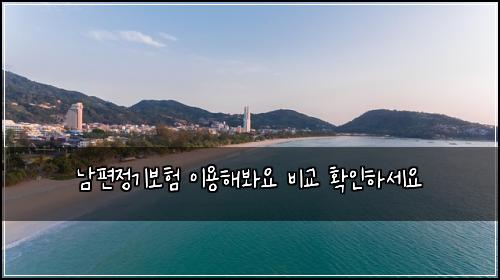 남편정기보험 이용해봐요  비교 확인하세요