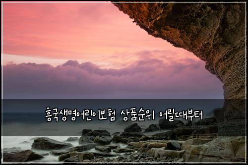 흥국생명어린이보험 상품순위  어릴때부터