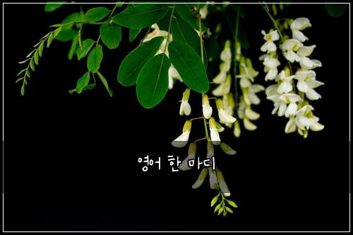 ์์ด ํ ๋ง๋