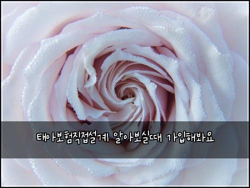 ํ์๋ณดํ์ง์ ์ค๊ณ ์์๋ณด์ค๋ ๊ฐ์
ํด๋ด์