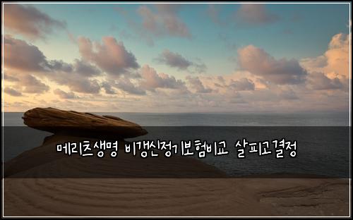 ๋ฉ๋ฆฌ์ธ ์๋ช
๋น๊ฐฑ์ ์ ๊ธฐ๋ณดํ๋น๊ต ์ดํผ๊ณ ๊ฒฐ์ 