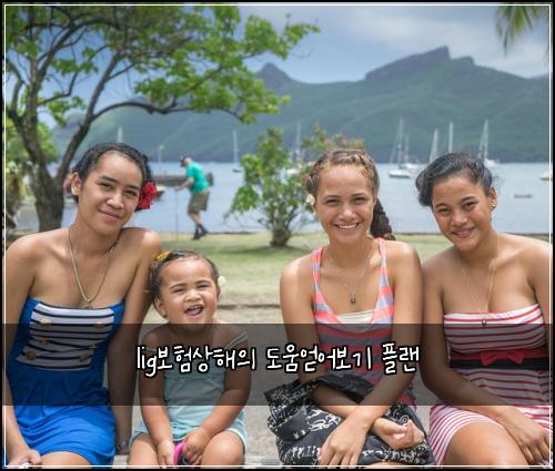 lig보험상해의 도움얻어보기 플랜