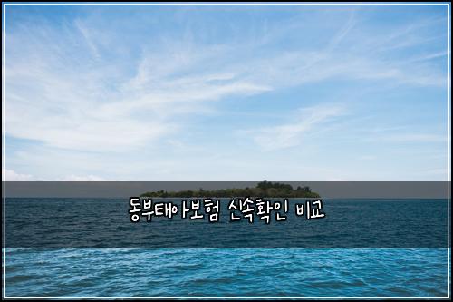 ๋๋ถํ์๋ณดํ ์ ์ํ์ธ ๋น๊ต