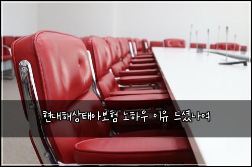 현대해상태아보험 노하우  이유 드셨나여