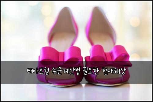 태아보험 쉬운계산법  필요한 현대해상