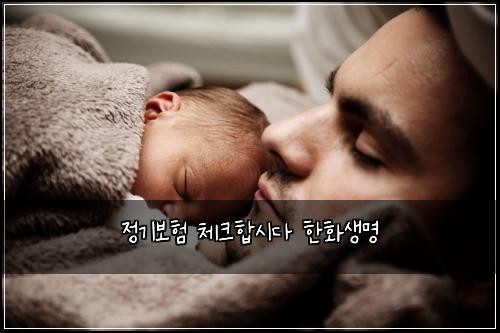 정기보험 체크합시다  한화생명