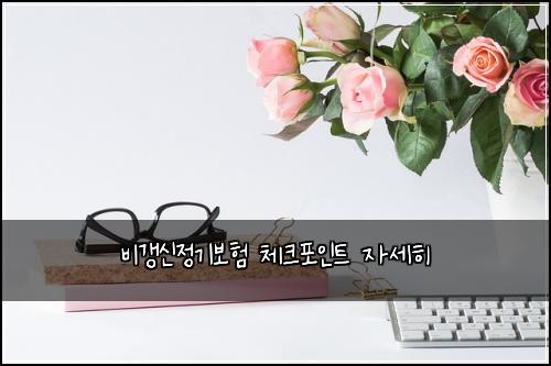 비갱신정기보험 체크포인트  자세히