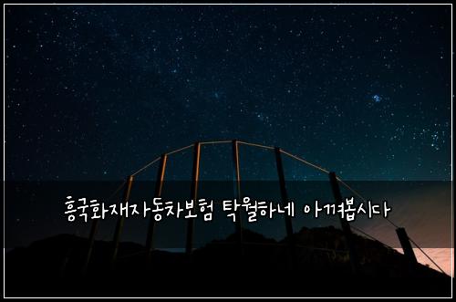 ํฅ๊ตญํ์ฌ์๋์ฐจ๋ณดํ ํ์ํ๋ค ์๊ปด๋ด
์๋ค