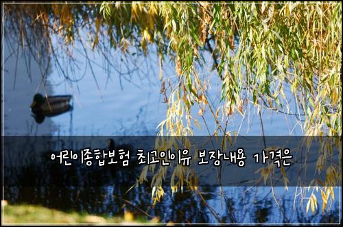 어린이종합보험 최고인이유  보장내용 가격은
