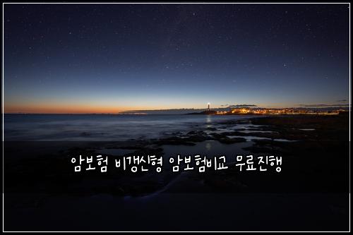 ์๋ณดํ ๋น๊ฐฑ์ ํ ์๋ณดํ๋น๊ต ๋ฌด๋ฃ์งํ