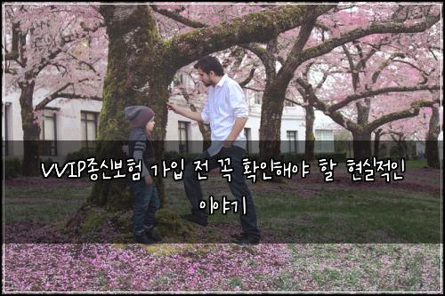 VVIP종신보험 가입 전 꼭 확인해야 할 현실적인 이야기