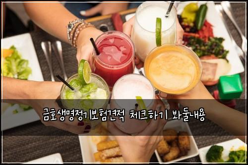 금호생명정기보험견적 체크하기 봐둘내용