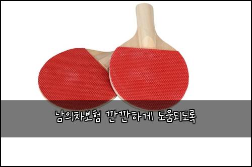 남의차보험 깐깐하게  도움되도록